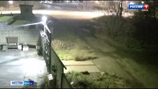 Четырнадцатилетняя девочка, попавшая под колёса грузовика в Старом Кировске, скончалась в больнице