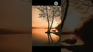 تلاوات نادره بصوت ملائكي Short 