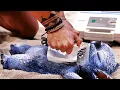 Download Lagu Stitch Drowning Scene | LILO \u0026 STITCH (2025) Movie CLIP HD