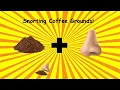 Snorting Coffee Grounds
