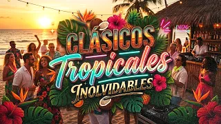 🔴 En Vivo: Clásicos Tropicales 🌴🎶 | Salsa, Bachata & Merengue con los Grandes Éxitos de Siempre