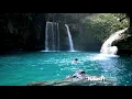 Naked Pools - Swimming As Nature Intended