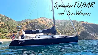 Sea Wieners, Spinnaker SNAFU, And Sailing to Catalina! #ourladydefiant #sailboat #boat #spinnaker