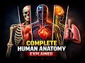 Complete Human Anatomy Explained Full Body Systems Breakdown
