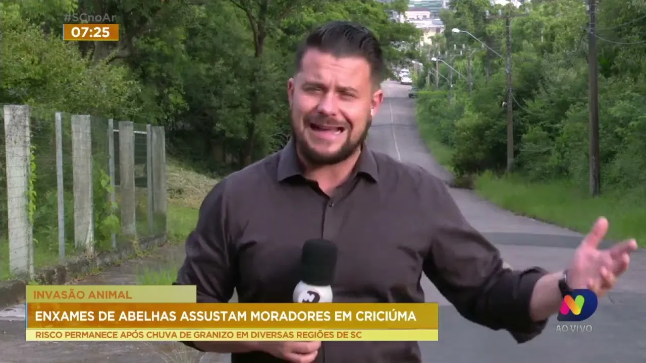 Enxames de abelhas assustam moradores em Criciúma