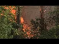 Charlotte County receives Red Flag Warning due to wildfire hazard