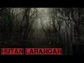 Download Lagu flim Horor terbaru 2024#Hororterbaru2024#hororindonesia#hororkomedi#shortvideo