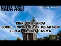 Lagu karaoke || Pinki Prananda - Dicintoi Tak diharagoi ( Nada Asli )