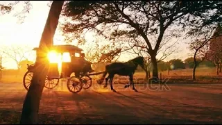 رزق الله على العربيات هدى حداد 