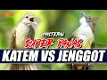 Download Lagu MASTERAN CUCAK JENGGOT VS KAPAS TEMBAK SUPER MEWAH