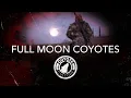 Download Lagu Coyote Hunting, 3 Coyotes:  C.C. Season 4 E1 \