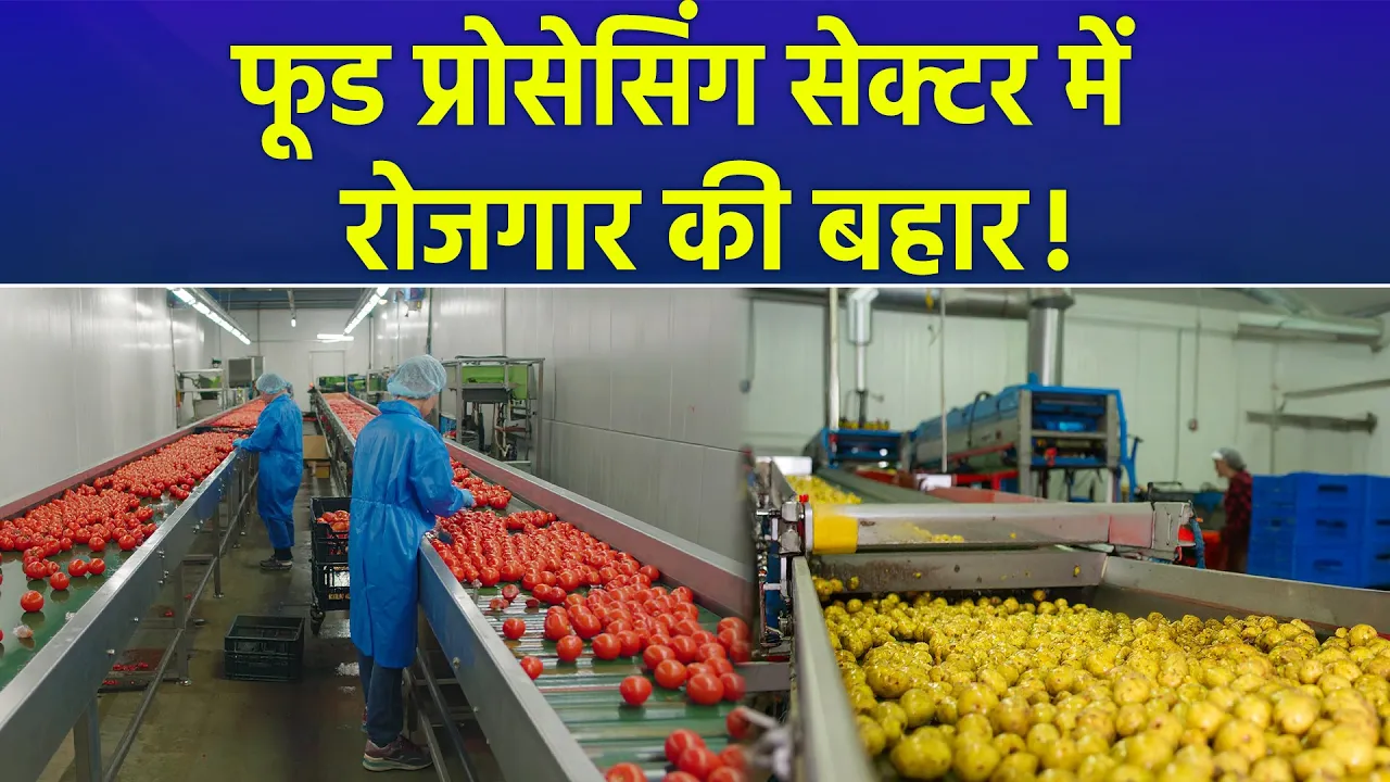 भारतीय अर्थव्यवस्था का प्रमुख हिस्सा बना Food Processing Sector