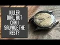 Omega Seamaster Automatic From the 50 s With a Killer Dial Vintage Watch Restoration