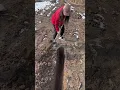 Rural Farmer 100360