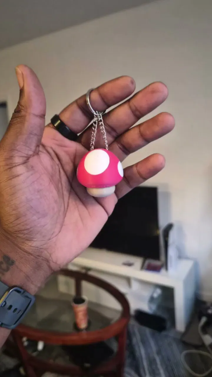 Mario Mushroom Fidget