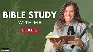 Luke 2 Did Mary and Joseph Really Lose Jesus An Advent Bible Study