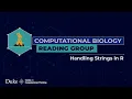 Handling Strings in R