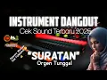 INSTRUMENT DANGDUT Ceksound Terbaru 2025 || SURATAN || HJ RHOMA IRAMA - Orgen Tunggal