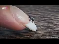 Shrink Ray Test Giantess AI
