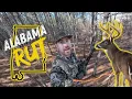 FINDING BIG BUCKS QUICK Two day ALABAMA rut hunt