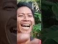 Download Lagu MIKAT BURUNG SOGON DAPATNYA ANEH???.@Jujum_Kicau #shortvideo #sogon