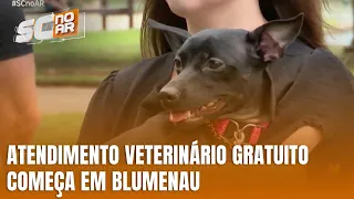 Blumenau oferece atendimento veterinário gratuito a famílias de baixa renda