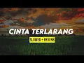Download Lagu CINTA TERLARANG (slowed+reverb)