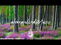 The Seasons 🌼☀️🍂❄️ - An Epic Indie/Folk/Pop Playlist