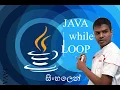 Java While Loop - Sinhala