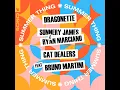 Summer Thing (Extended Mix)