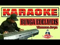 Download Lagu Bunga Edelweis KARAOKE Thomas Arya || (Video Lirik)