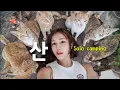 Download Lagu ⛰️산 정상에 사는 20마리 고양이와 나홀로 캠퍼 / 솔로캠핑