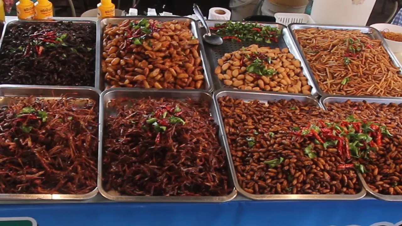 Taste Test of all the Bugs at a Thailand Market. Taste Testing Thai Snacks & Street Food