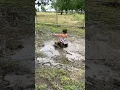 Download Lagu Adorable Kid Jumps Into Muddy Puddle #funny  #baby  #failgag  #falling