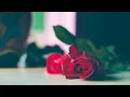 Download Lagu 2 Hours Saxophone Romantic Love Song Instrumental - The Best Of Relaxing Instrumental Music