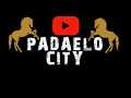 Lagu PADAELO CITY 3 | DJ YALA HABIBI X CARTEL SPECIAL NATAL 2025