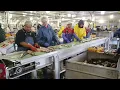 Processing salmon fish at the local Petersburg Cannery in Alaska