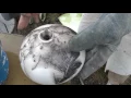 Horse Hair Raku 1