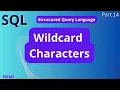 SQL Wildcard Characters Tutorial in Hindi arvindprogramming