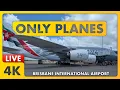 Lagu 🔴 Night Plane Spotting @ Brisbane Airport w/ James \u0026 Matty + ATC ✈️🌇🌙
