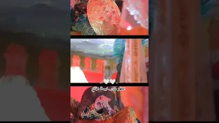 عرس بأرض الطفوف سيد سلام الحسيني Shorts 