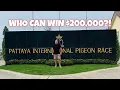 PATTAYA ONE LOFT RACE FINAL Ft Jan Hooymans Mike Ganus More