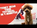 TEDDY BEAR HAIRCUT TUTORIAL IN 4 MINUTES
