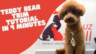 Download TEDDY BEAR HAIRCUT TUTORIAL IN 4 MINUTES MP3