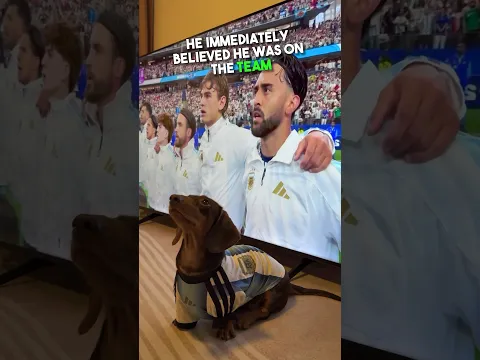 Dog Thinks He’s Playing in The World Cup 😂🇦🇷