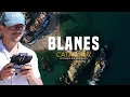 Que hacer en BLANES LA PUERTA AL PARAISO