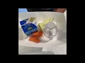 CPS Food Waste Guide English