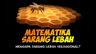 TIDAK TERJAWAB SELAMA RIBUAN TAHUN!! INILAH ALASAN MENGAPA SARANG LEBAH BERBENTUK HEKSAGONAL!!