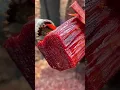 Download Lagu red Chandan /लाल चंदन#shortsvideo #trending #viral #akhilvlogs