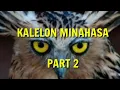Download Lagu Kalelon Minahasa...Thiamu